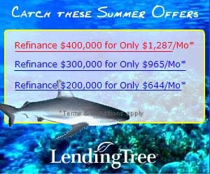 20070827LendingTreeLoanShark