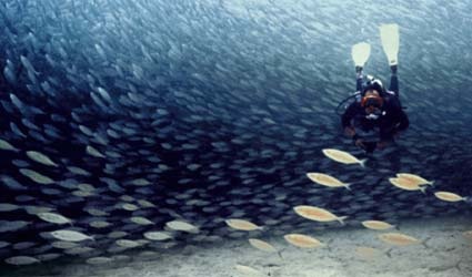 20071014ZurichScuba