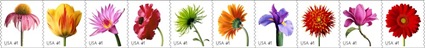 20071110USPSBloomsStamps