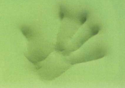 20071207-Tempur-Pedic-Mattress-Hand