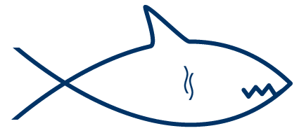 20080114-Shark-Jesus-Rapidsea