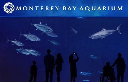 20080213-Monterey-Bay-Aquarium-Fish-Guides